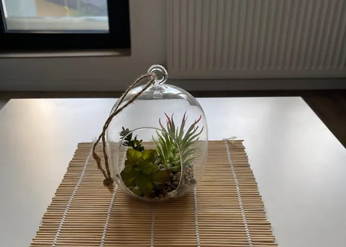 Cozy Elegance Апартаменти