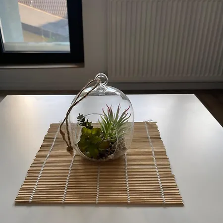 Cozy Elegance Appartement